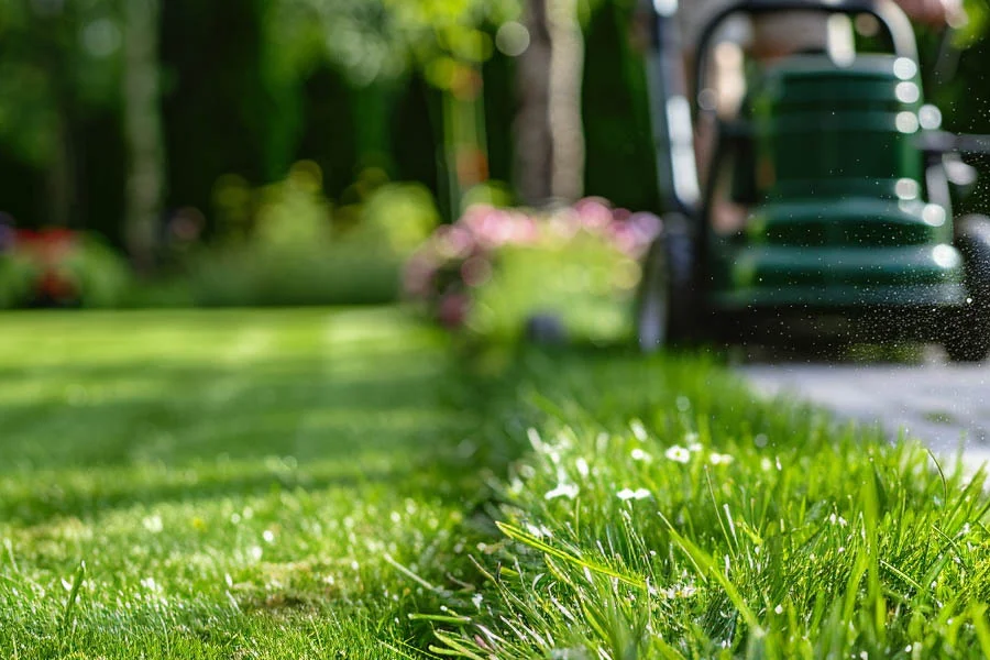 electric mowers review